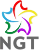 Rede NGT