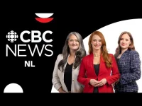 CBC News NL - Newfoundland and Labrador logo