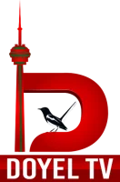 Doyel TV logo