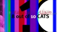8 Out Of 10 Cats logo