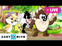 Cartoonito: Baby Looney Tunes logo
