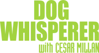 Dog Whisperer UK logo