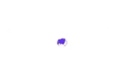 DD Sports logo