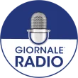 Giornale Radio TV logo
