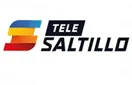 Tele Saltillo logo