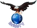 Bride TV logo