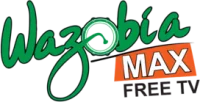 Wazobia Max TV Nigeria logo