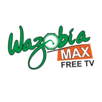 Wazobia Max TV Port-Harcourt logo