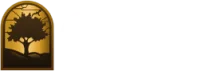 City TV Channel 3/41 logo