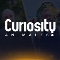 Curiosity Animales logo