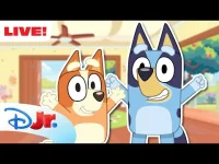 Disney Junior: Bluey logo