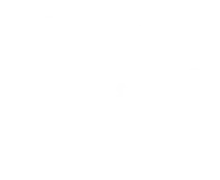 Don't Tell The Bride logo