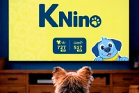 KNino logo