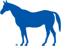 Lex TV logo
