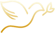LLBN TV Chinese logo