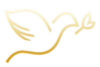 LLBN TV South Asia logo