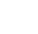 Lone Star logo