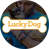 Lucky Dog logo