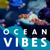 Ocean Vibes logo