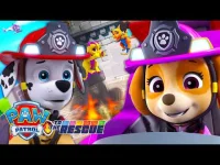 PAW Patrol (English) logo