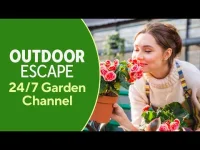 QVC+ HSN+: Outdoor Escape logo