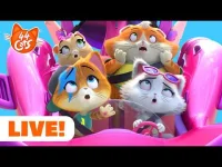 Rainbow Junior: 44 Cats logo