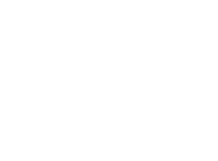 Real Wild logo