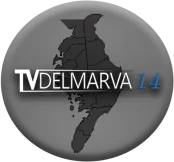 W14DK-D 14.1 logo