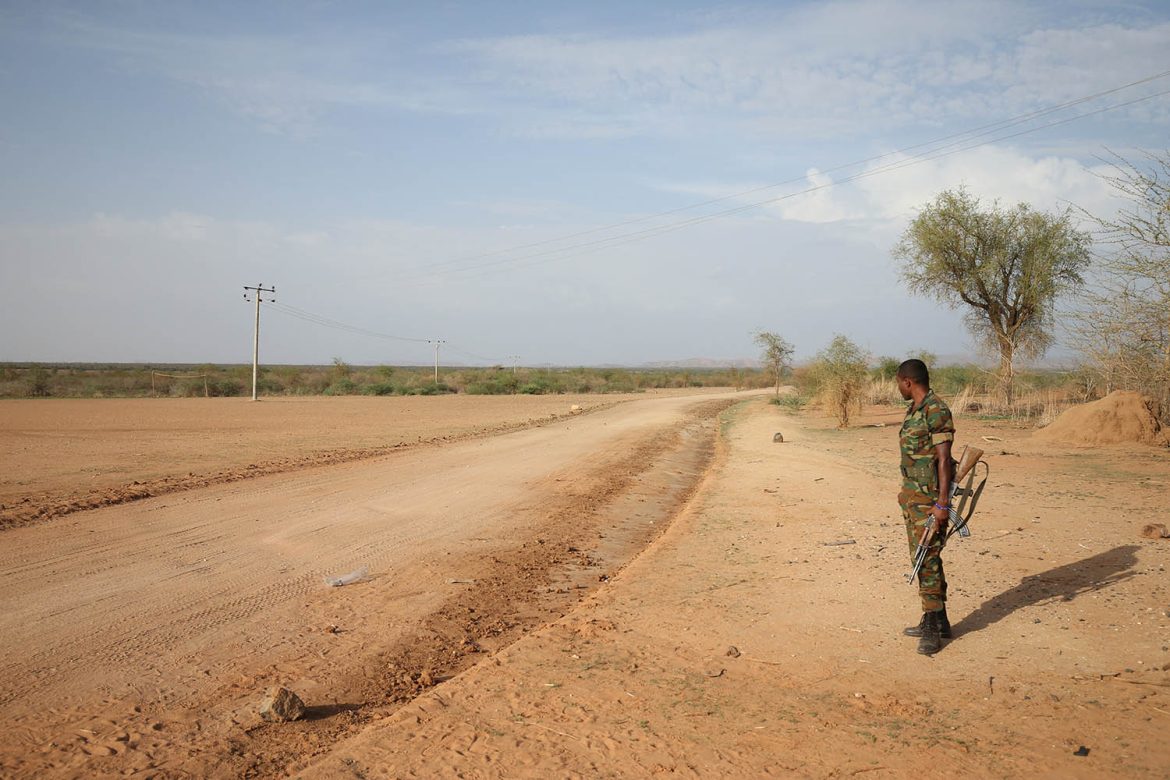 Renewed Hostilities in Tigray and the Eritrean Threat